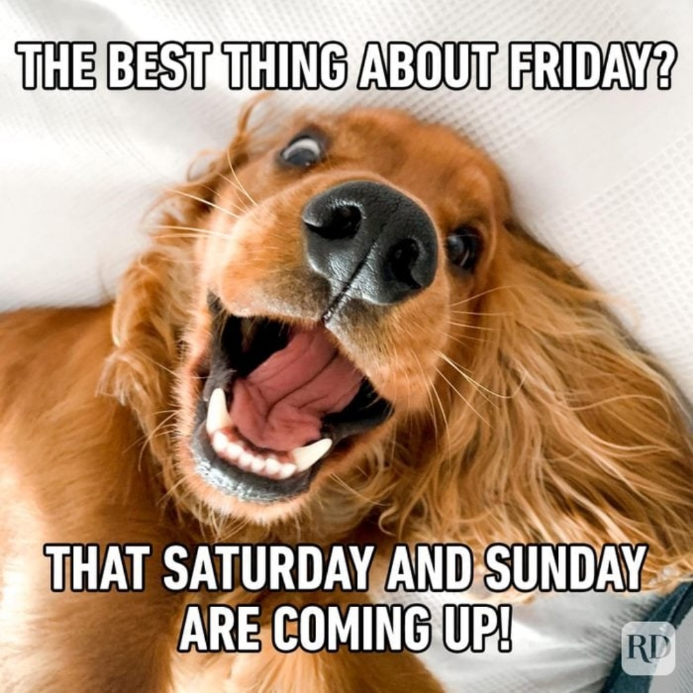 💜Quick Listings for Lives💜 - Picture 12 of 12